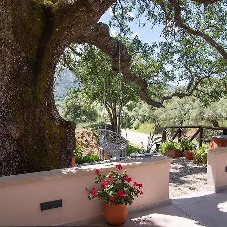 Bed & Breakfast Antartisa Limni (Crete)