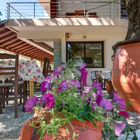 Bed & Breakfast Antartisa *